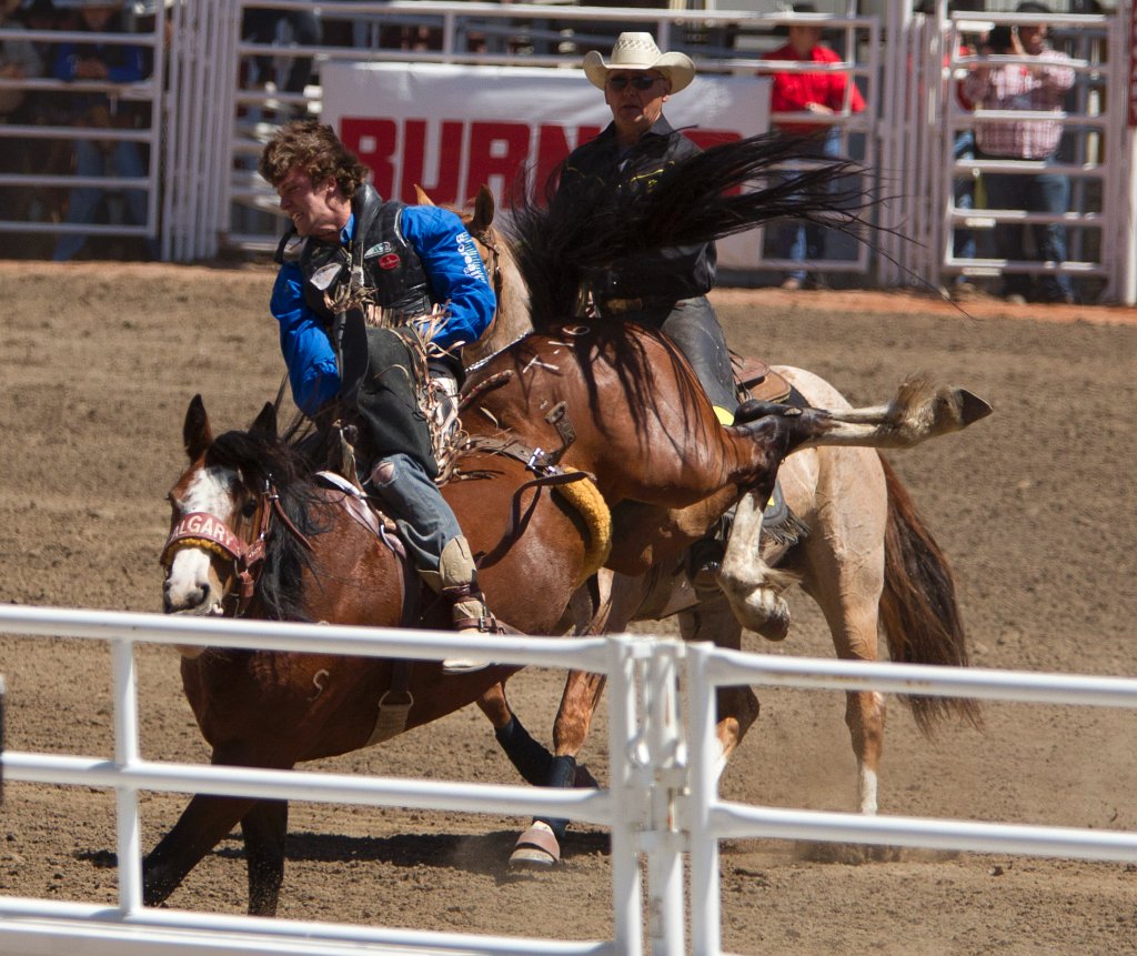 Calgary Stampede-1423.jpg